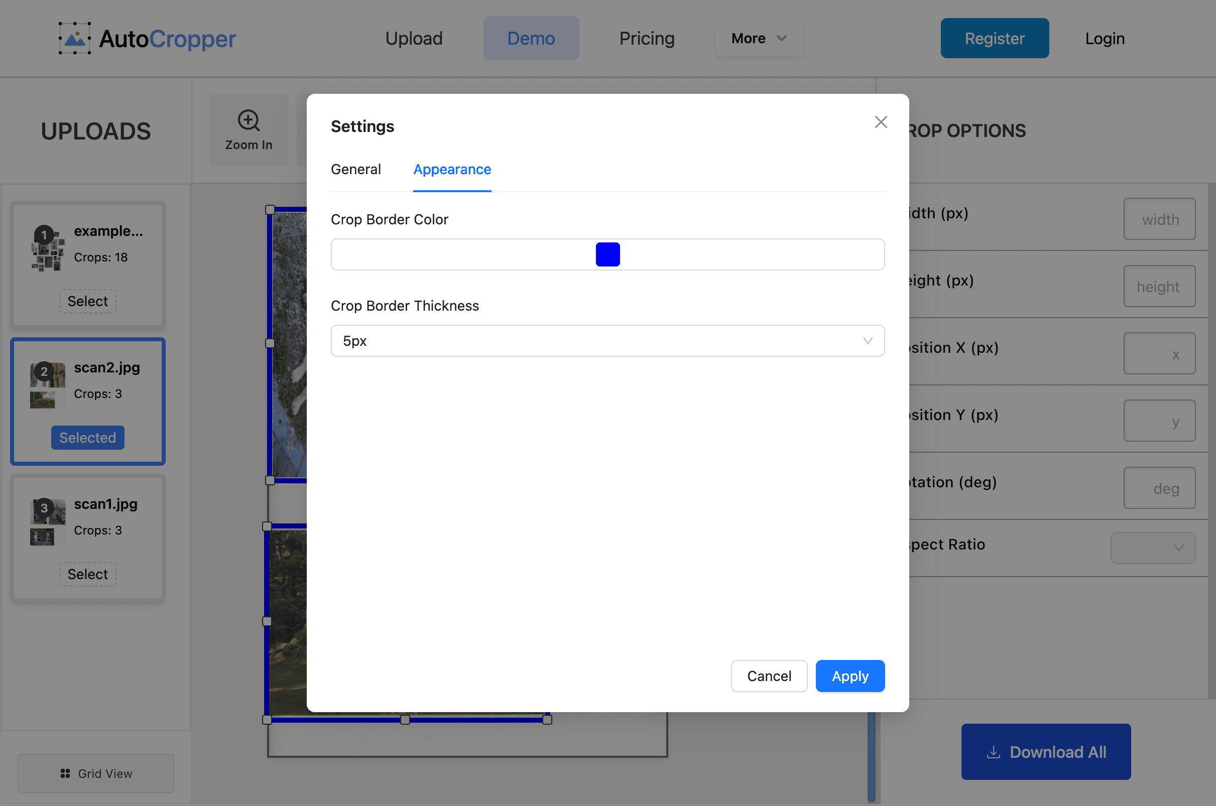 Customize the border width and color of the crop rectangles.