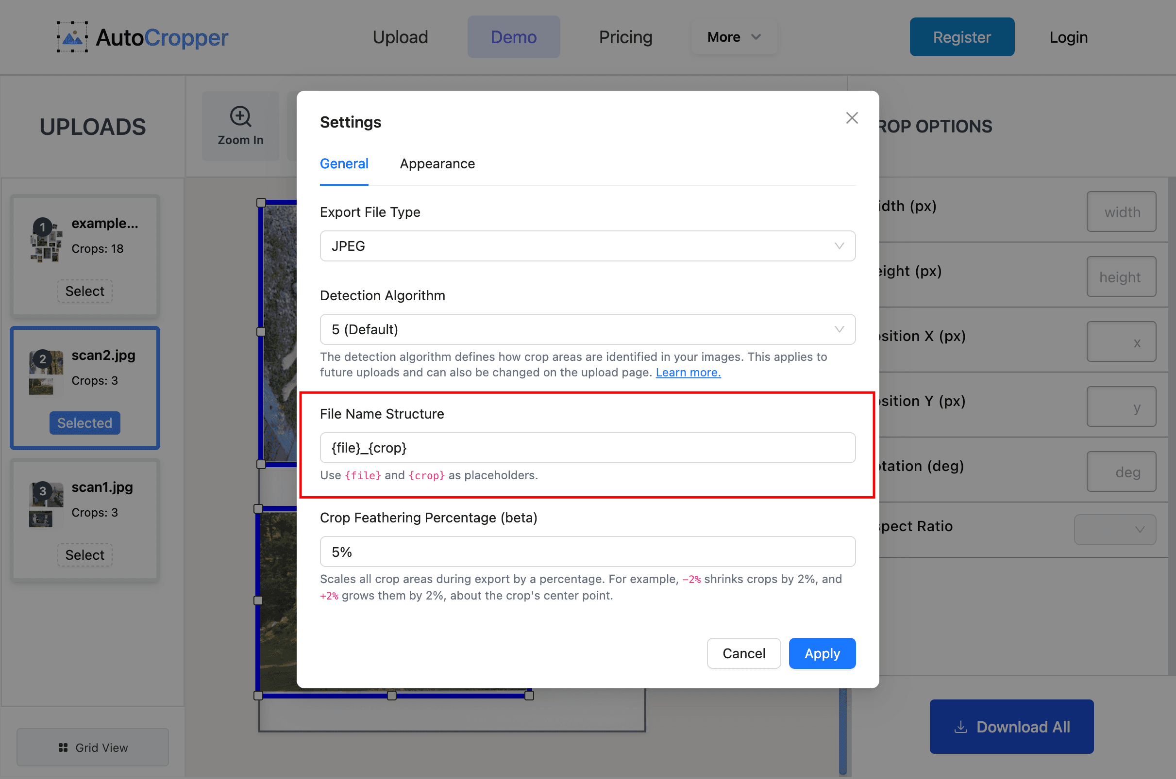 The file name structure applies to all defined separate images (crops). You can manually override an individual crop's file name via the Advanced Editor.