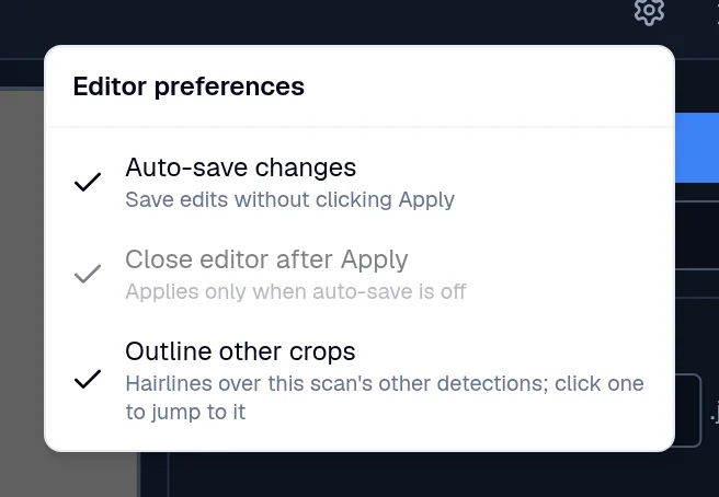The Editor preferences menu with Auto-save changes checked, Close editor after Apply greyed out, and Outline other crops checked